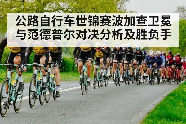公路自行车世锦赛波加查卫冕与范德普尔对决分析及胜负手（kaiyun）