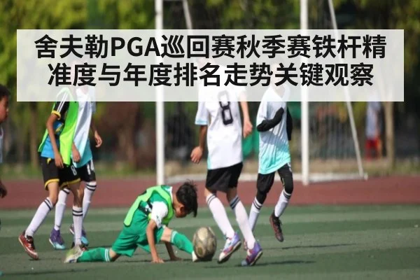 舍夫勒PGA巡回赛秋季赛铁杆精准度与年度排名走势关键观察
